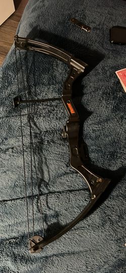 beginners bear bow