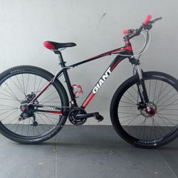 BICYCLE GIANT 21 SPEED SIZE-29 BRAND NEW 