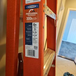 Warner 6ft Fiberglass Ladder