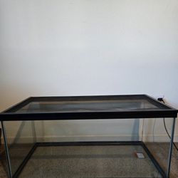 Reptile Tank
