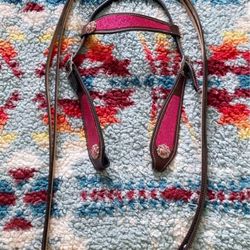 Pony Headstall And reins 