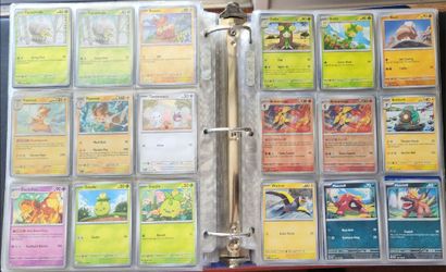 Pokémon TCG Binder (Part 5 of 6)