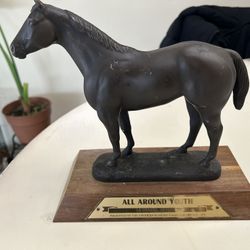 Bronze Thropy 1972