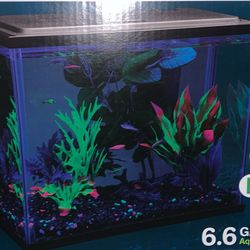 Brand New Fish Tank