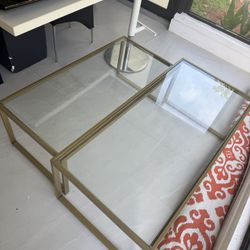 Twin Coffee Tables