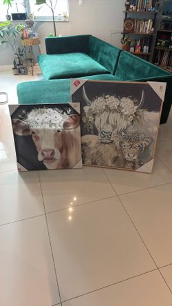 Highland Cow Art