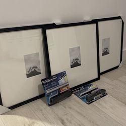 20x20 Matted frames W Picture Lights 