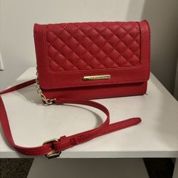Steve Madden Purse
