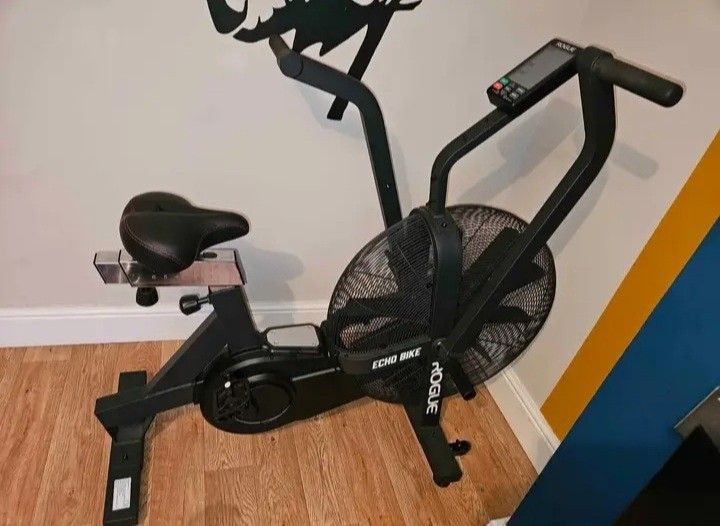 Rogue-Echo-Bike-V3.0