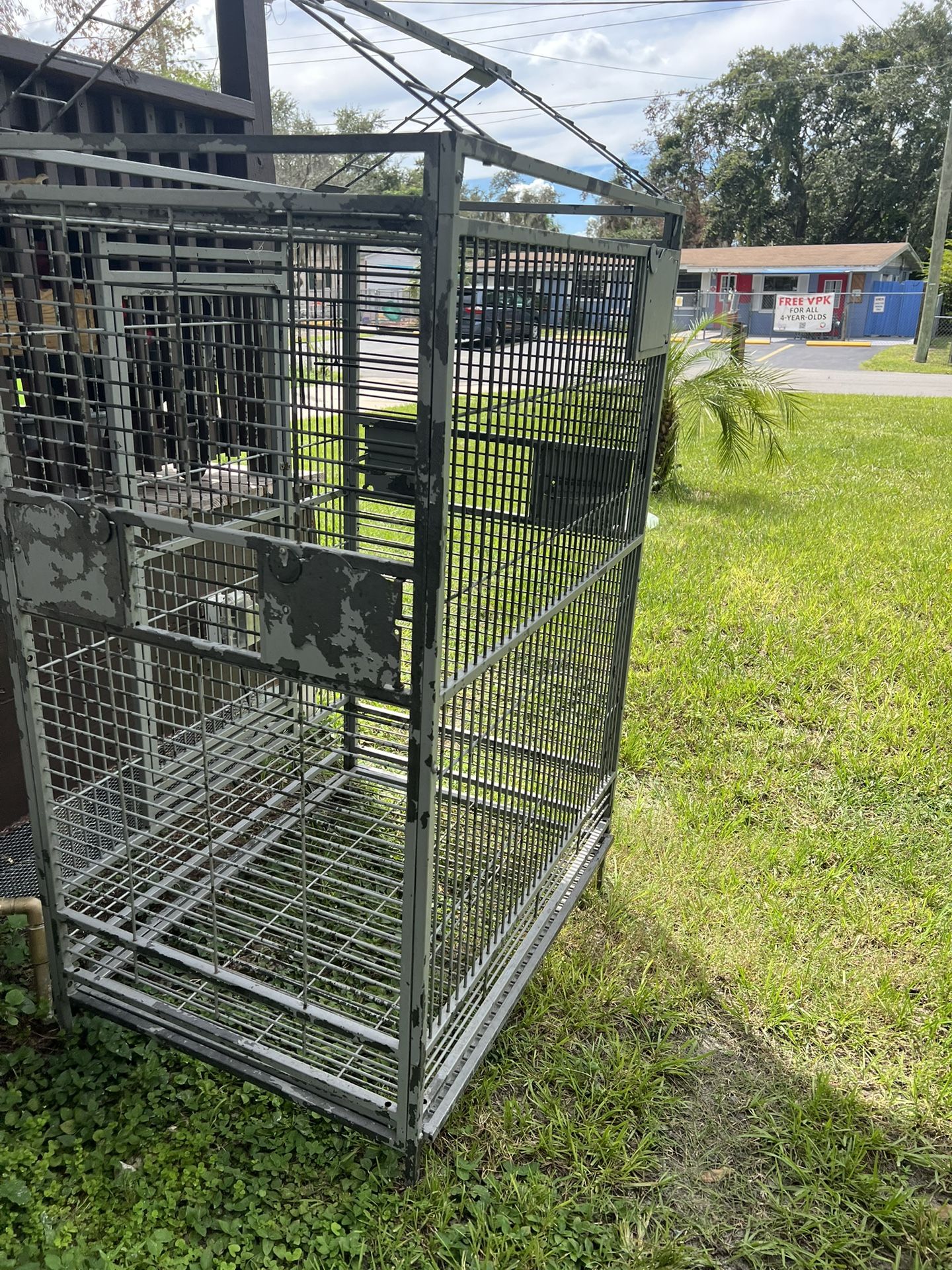 Big Bird. Cage