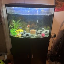 36 Gallon Fish Tank And Stand 