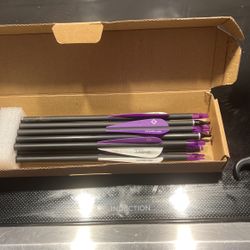 Slightly Used 500 Spine Arrows