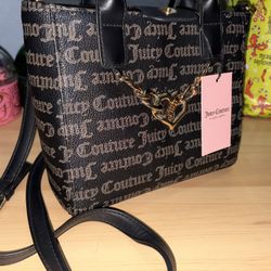 Juicy Couture Bag $30