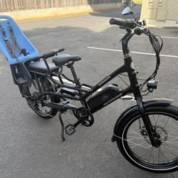 Electric Bike RadWagon 4