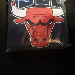 CHICAGO BULLS  SWEATER  : 