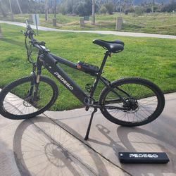 Pedego Ridge Rider, Extra Battery and Wall Rack