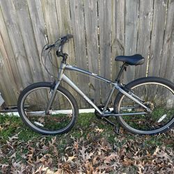 Contes Bike Shop Beach Cruiser 