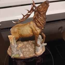 Elk