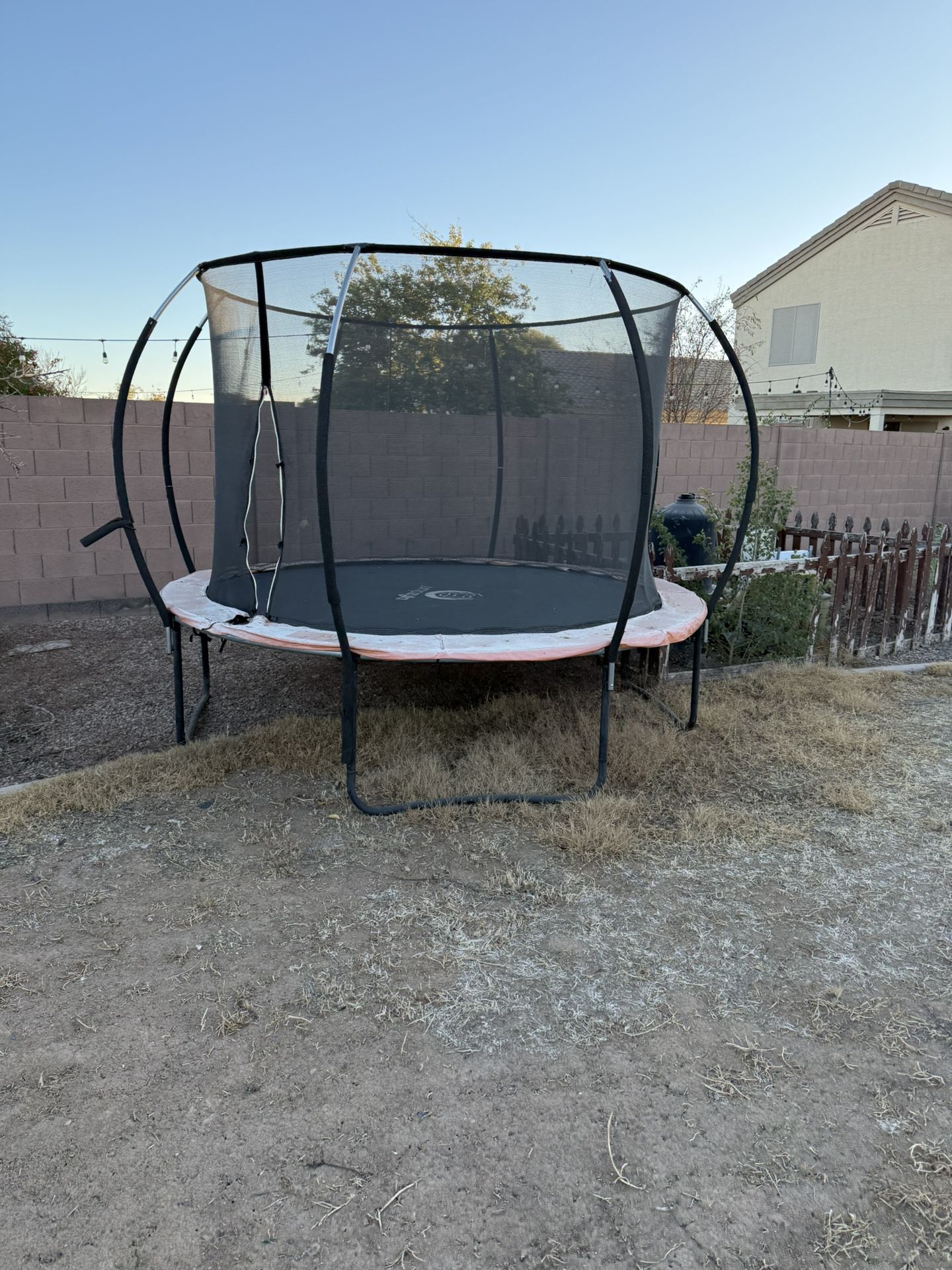 Trampoline