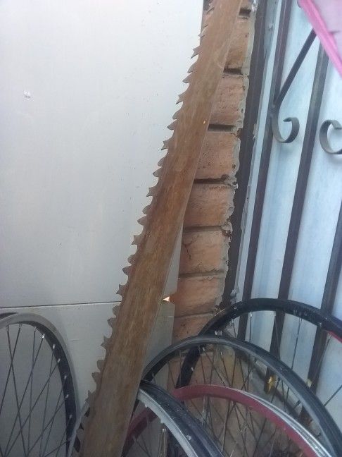 Lumber Jack Tree Cutter Old School