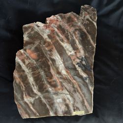 Wild West Polished Petrified Wood
