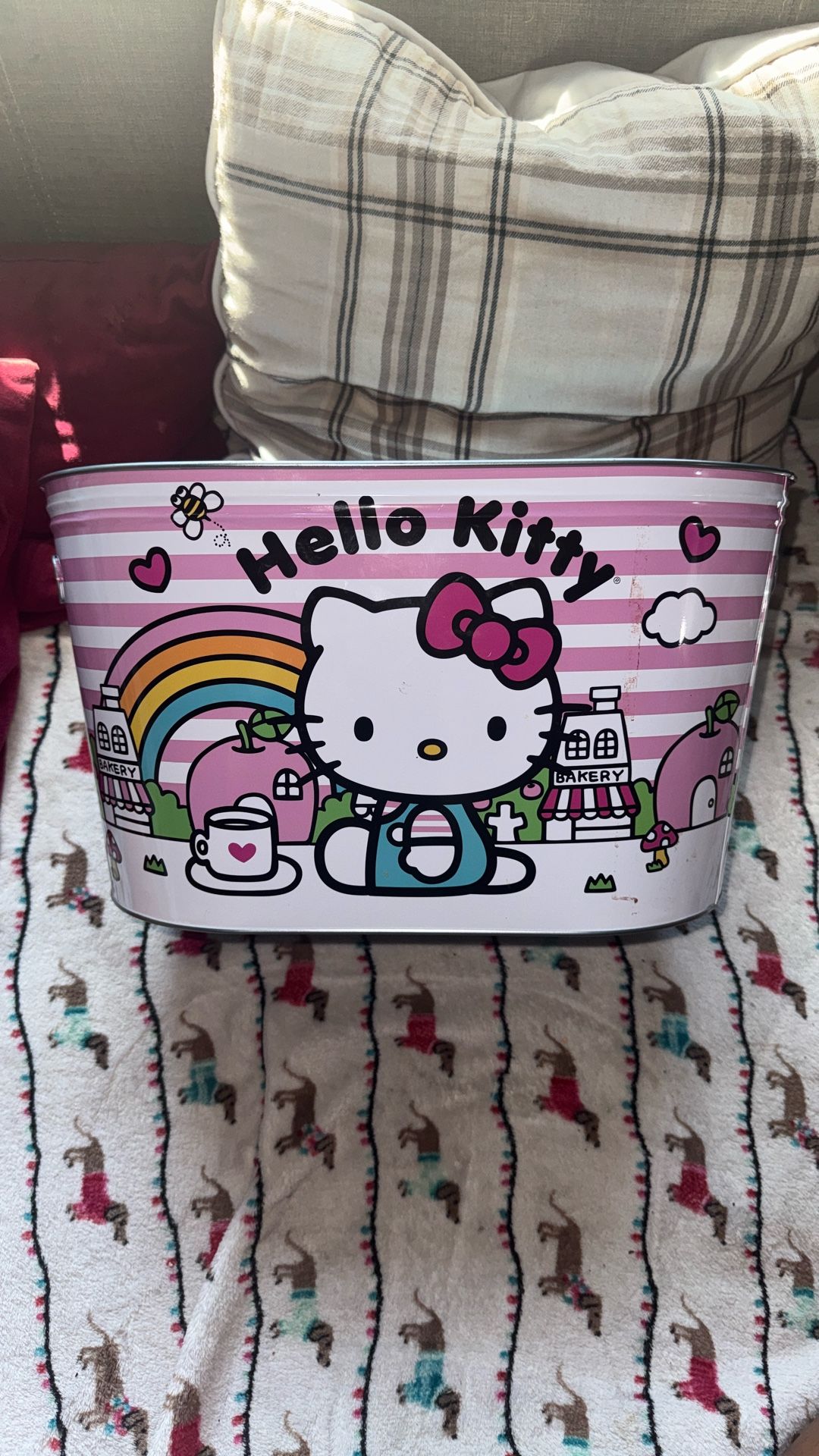 Hello Kitty Bucket