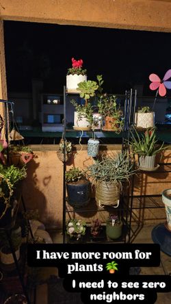 Plants Sold Together Or Separately 