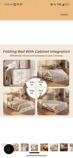 Queen Murphy Bed