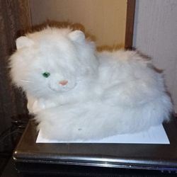 Stuffed White Persian Cat . Read Post .