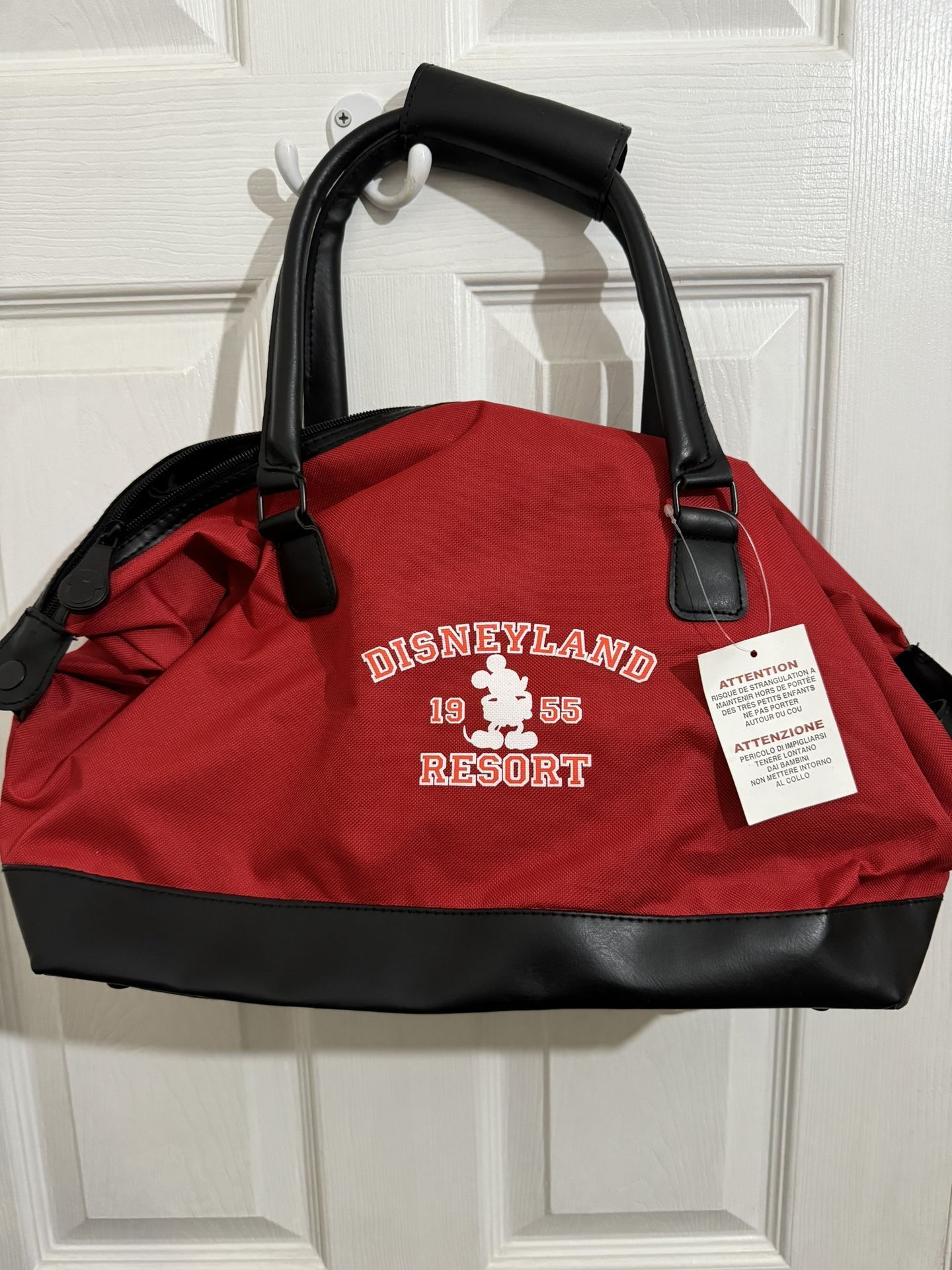New Disneyland Resort Bag