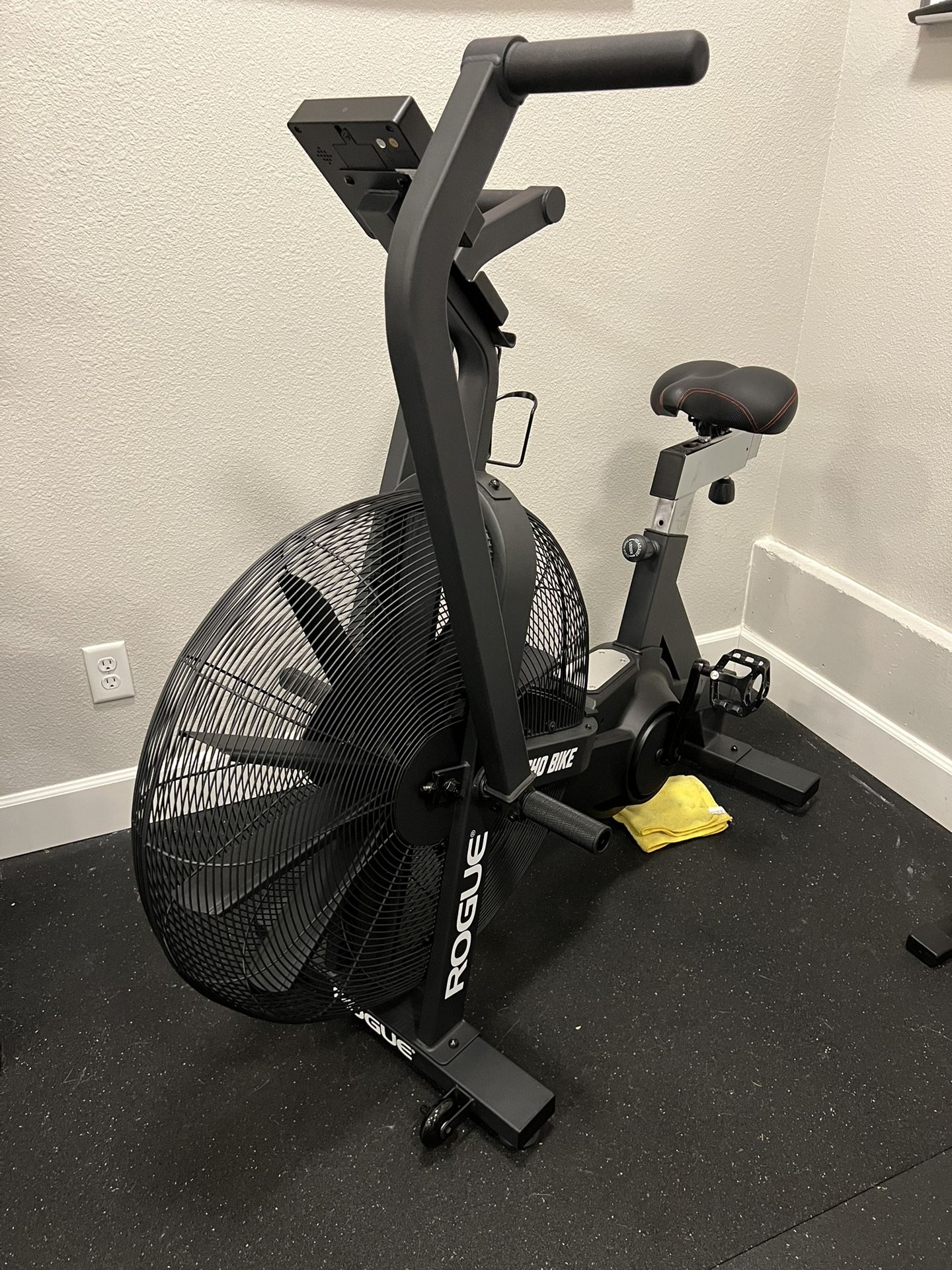 Rogue Echo Bike