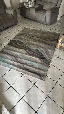 Area Rug/Living Room Rug