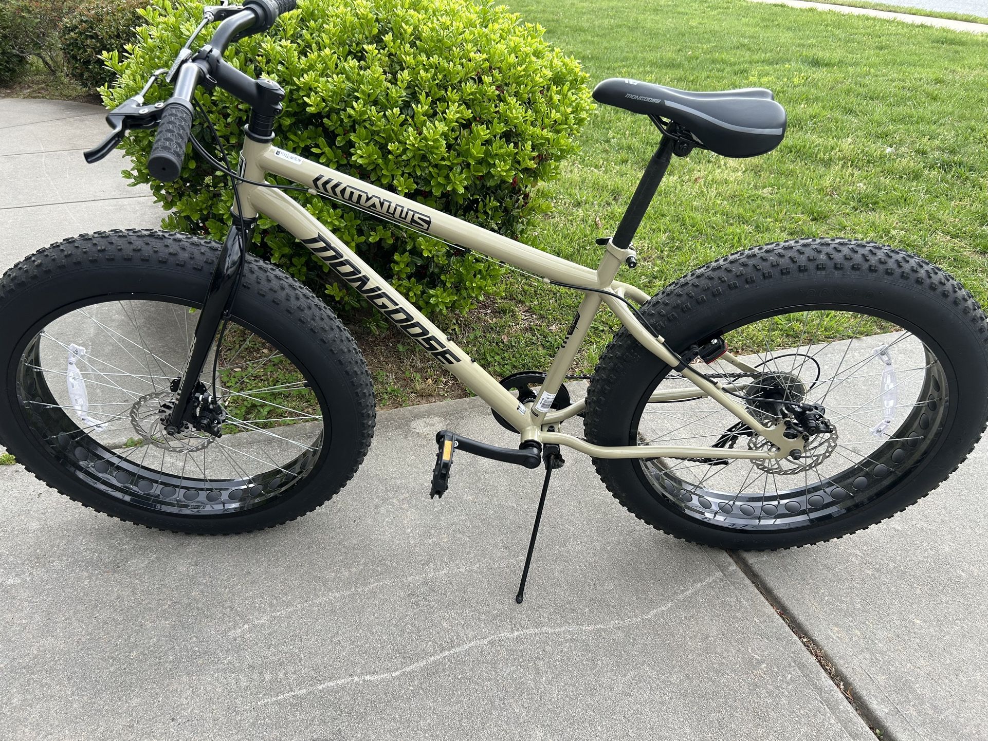 Mongoose Bike