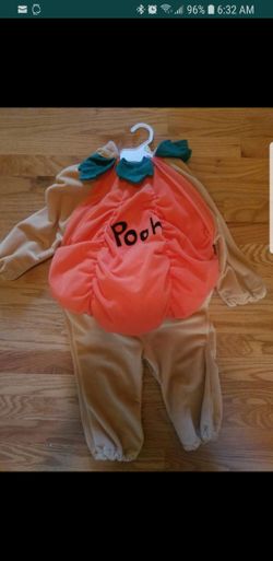 Disney Winnie the Pooh 18-24 month costume