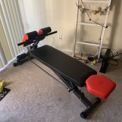 Exercise Bench