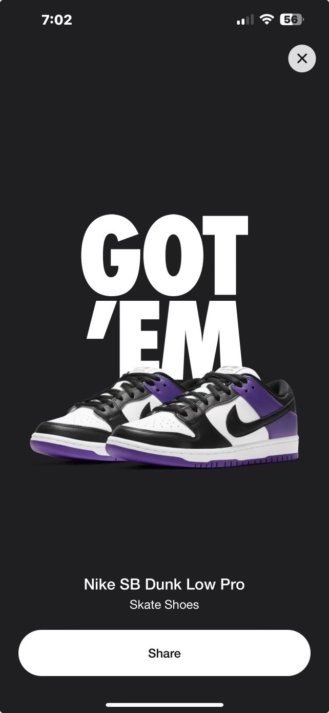 Dunk Low Sb Court Purple Size 12