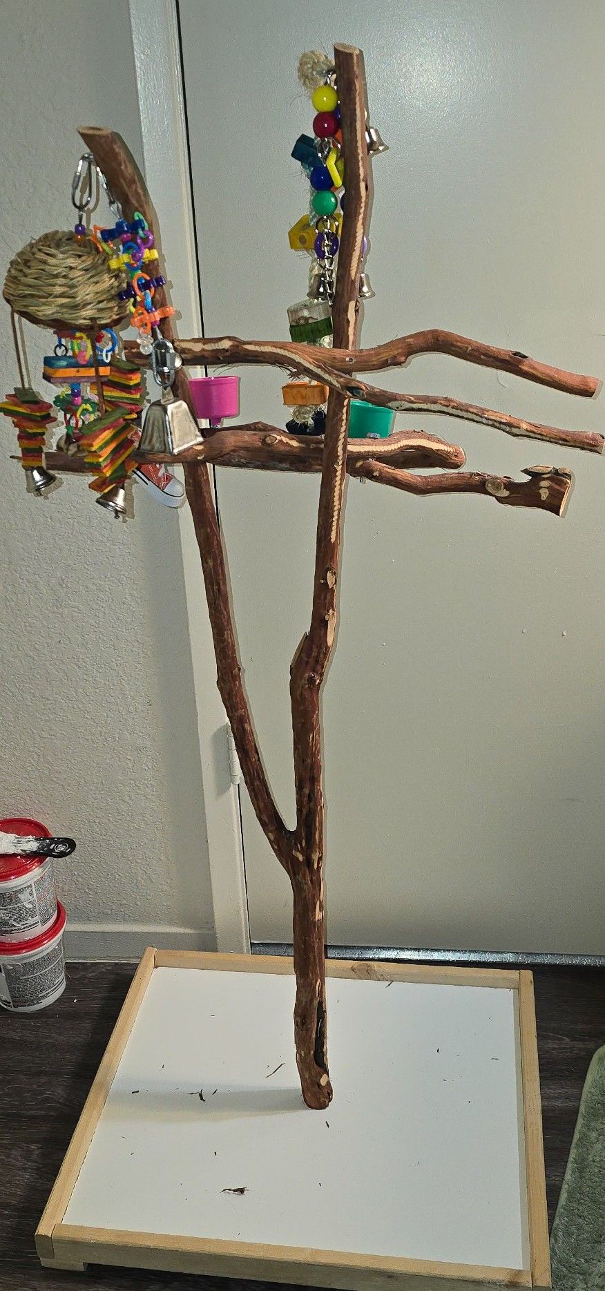  Birdie Playground 
