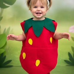 strawberry costume outfit kids fun handmade felt