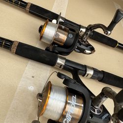 CITADEL 9ft Medium Heavy Spinning Combo