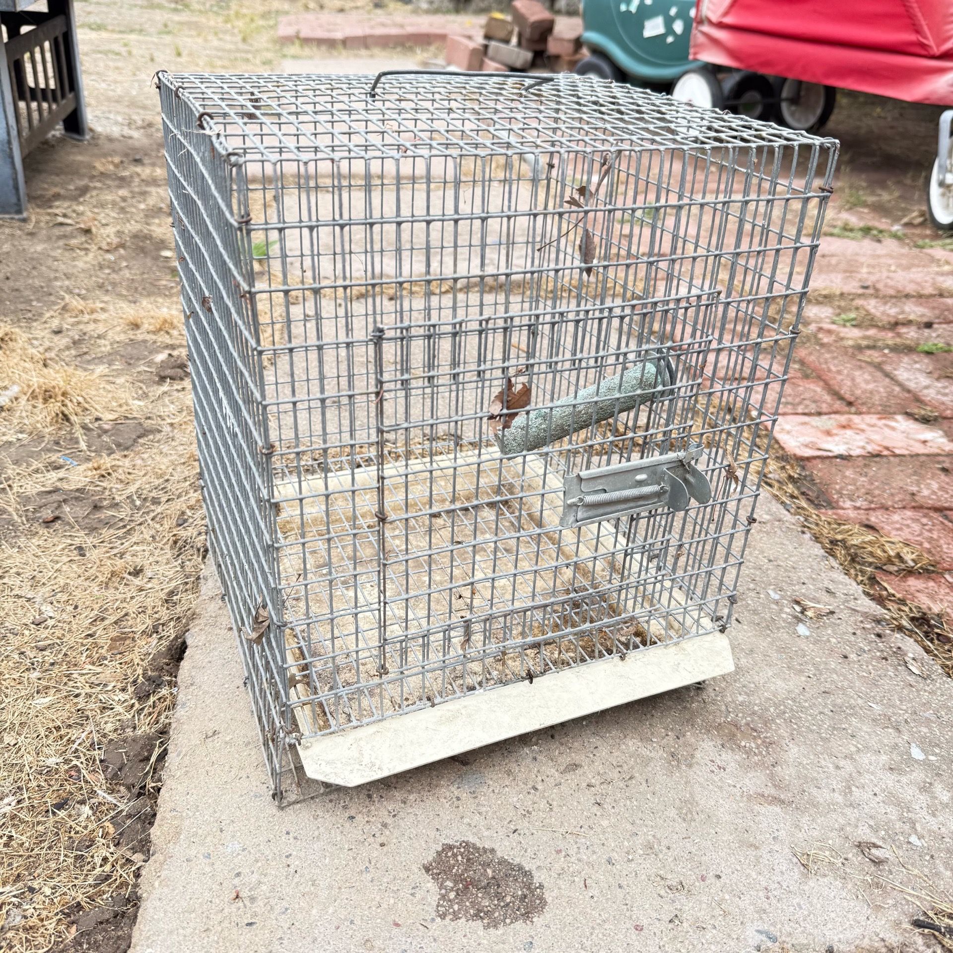 Bird Cage For Sale!