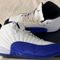 Jordan retro 12’s Blueberries sz12