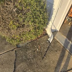 Abu Garcia  Reel With Ultra Light Ugly Stick