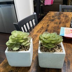 Artificial Succulent Set