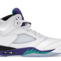 Jordan 5 Grape 2025 Size 10