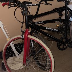 Fixxie Bike And Browner Mongoose 