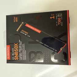 Sandisk NVMe SSD