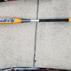 Easton Bat