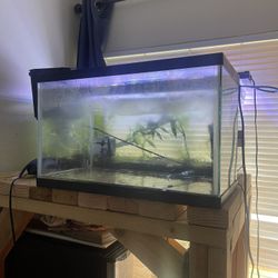 20 G Fish Tank 
