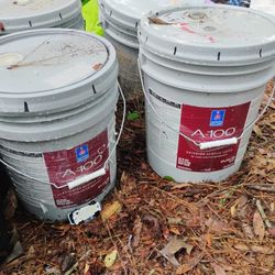 5 Gallon Buckets Of Paint Gas Blowers Weed Eater 
