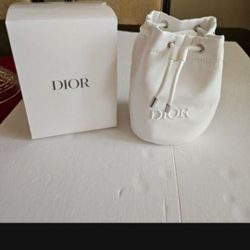 Dior Pouch 